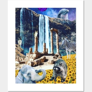 Zebra dreams Posters and Art